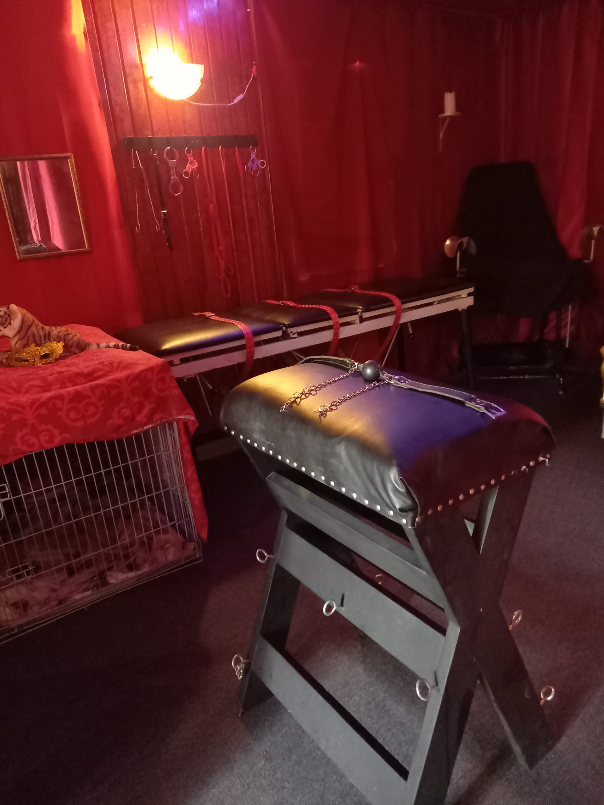Unieke BDSM Kamer